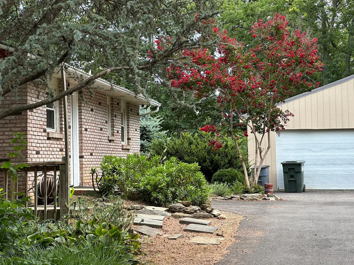 Ferncliff Cottage exterior with flowering tree